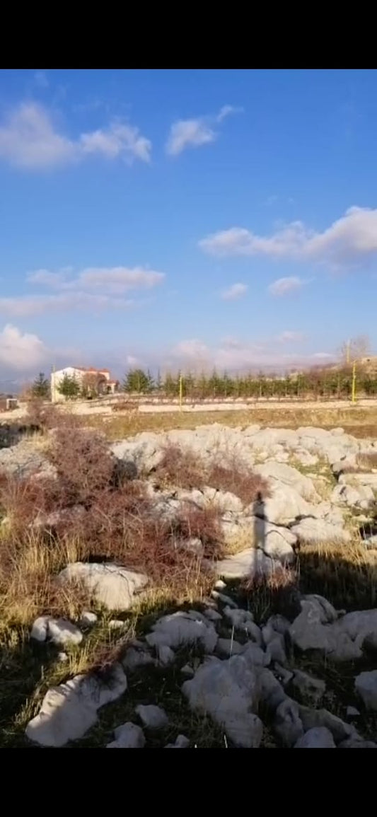 Land for sale in Laklouk - أرض للبيع في اللقلوق