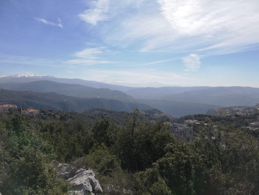 Land for sale in Klayaat - أرض للبيع في قلايعات