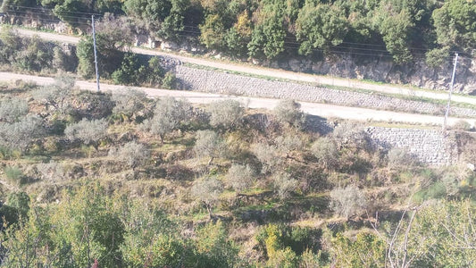 Land for sale in Batroun - أرض للبيع في البترون