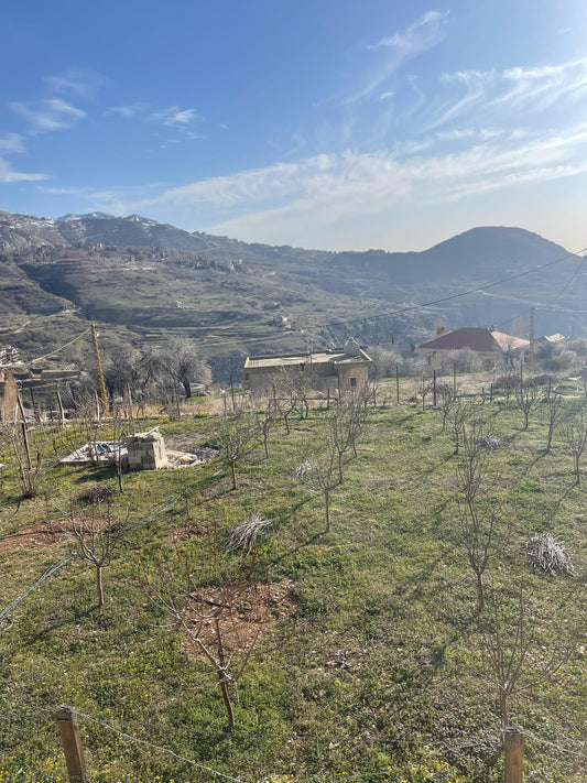 Land for sale in Faraya - أرض للبيع في فاريا