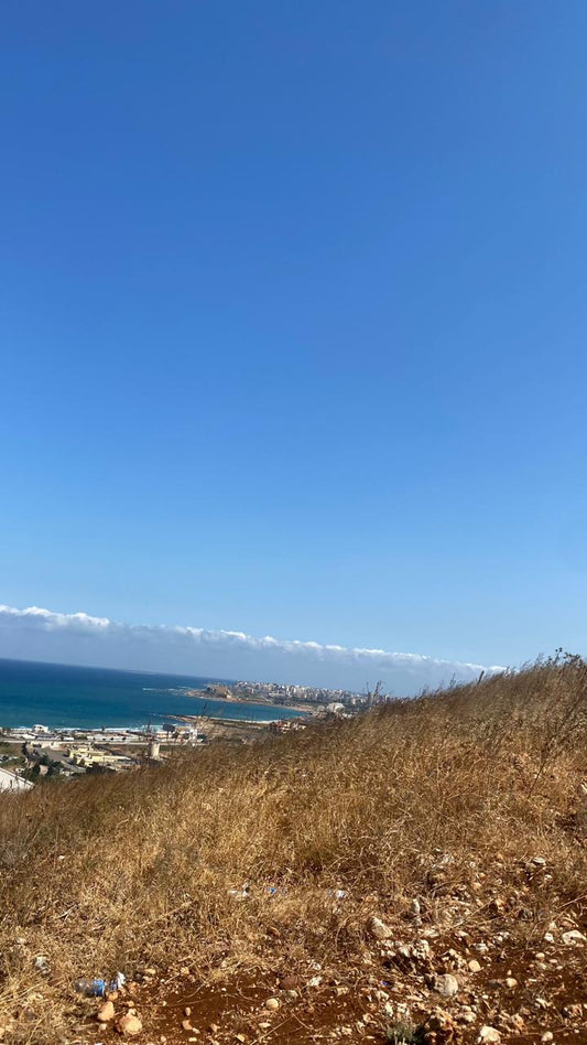 2 Lands for sale in Tripoli - قطعتا أرض للبيع في طرابلس