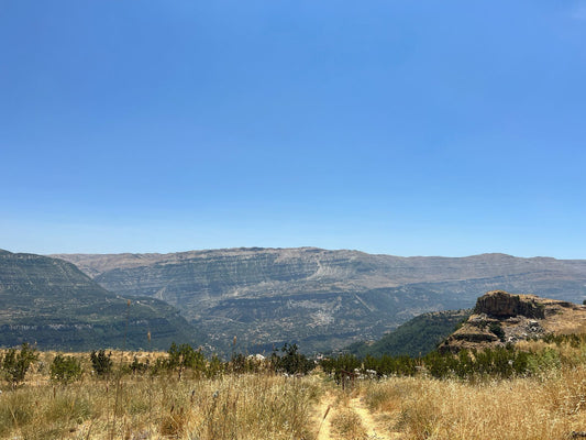 Land for sale in Charbineh - Jbeil - أرض للبيع في شربينة - جبيل