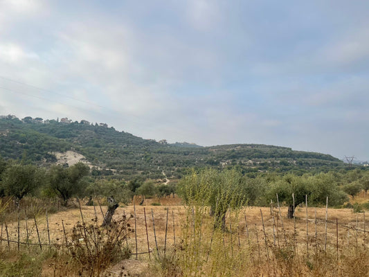 Land for sale in Mejdel - أرض للبيع في مجدل