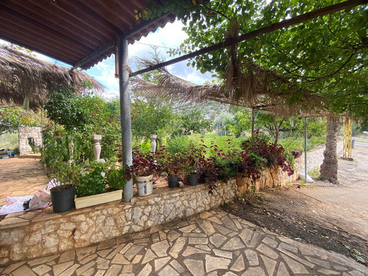 Old House for sale in Batroun - منزل قديم للبيع في البترون