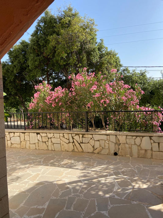 Apartment for rent in Batroun - شقة للإيجار في البترون