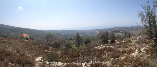 Land for sale in Obeidat - أرض للبيع في عبيدات