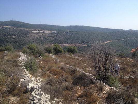 Land for sale in Obeidat - أرض للبيع في عبيدات