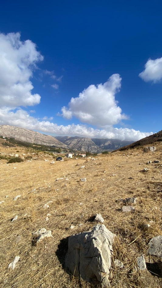 Land for sale in Laklouk - أرض للبيع في اللقلوق GM149SA