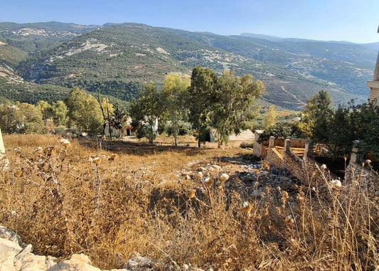 Land for sale in Ain Akrin-Koura - أرض للبيع في عين عكرين - الكورة GM126CM