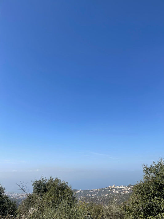 Land for sale in Ajaltoun - أرض للبيع في عجلتون GM169Y