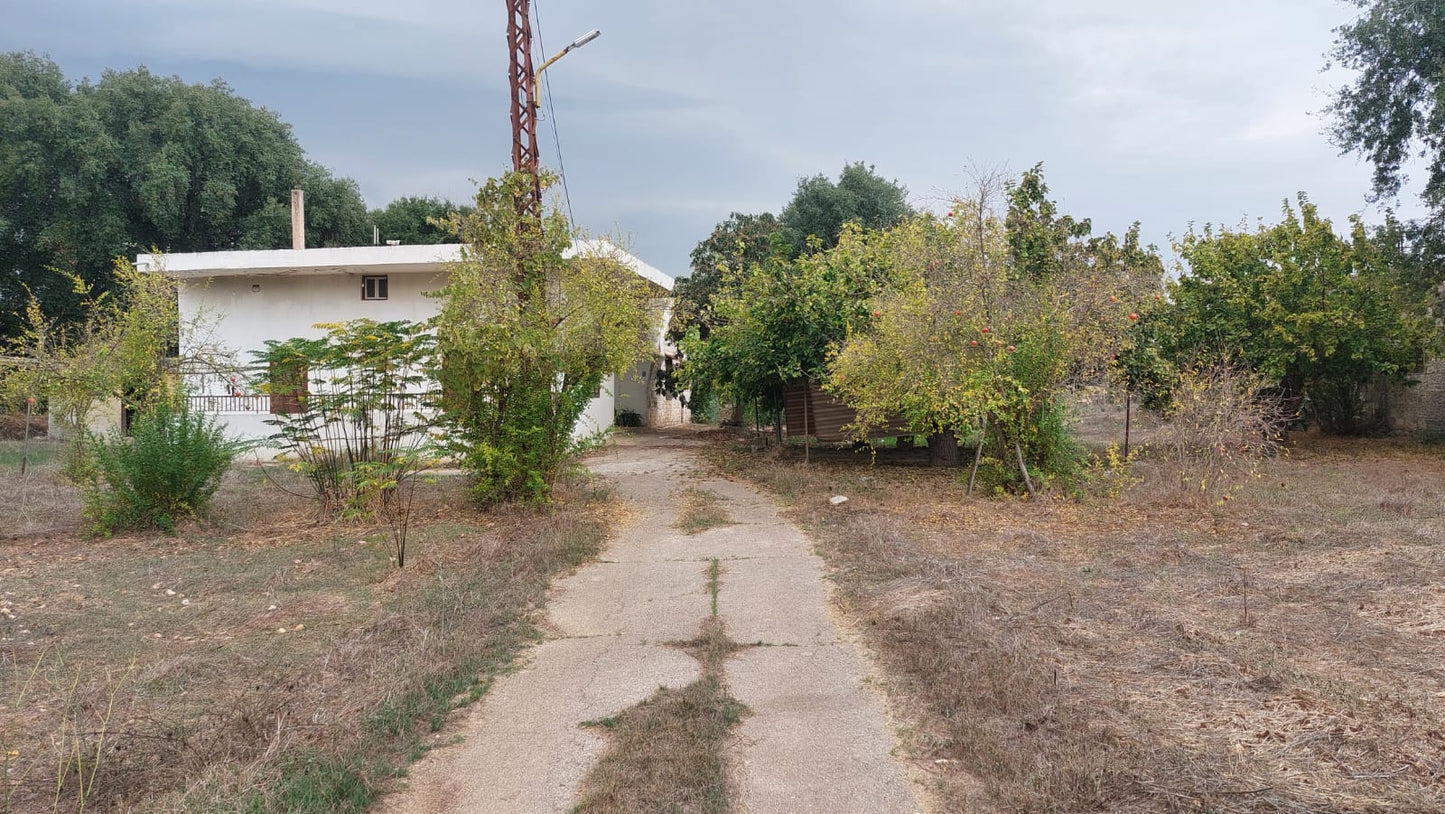 Old house with land for Sale in Bichmizzine - بيت قديم مع أرض للبيع GM103KG