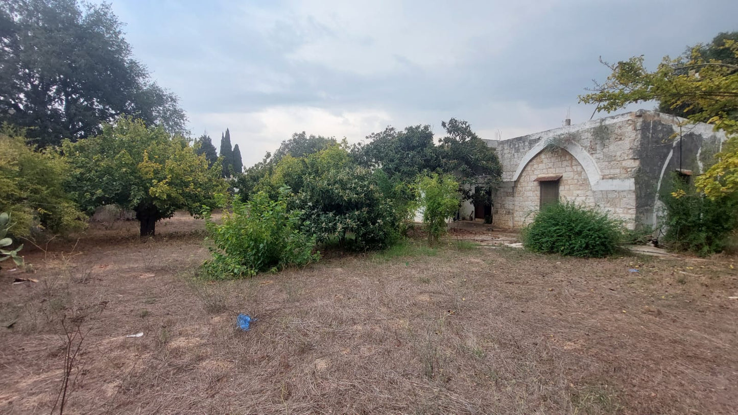 Old house with land for Sale in Bichmizzine - بيت قديم مع أرض للبيع GM103KG