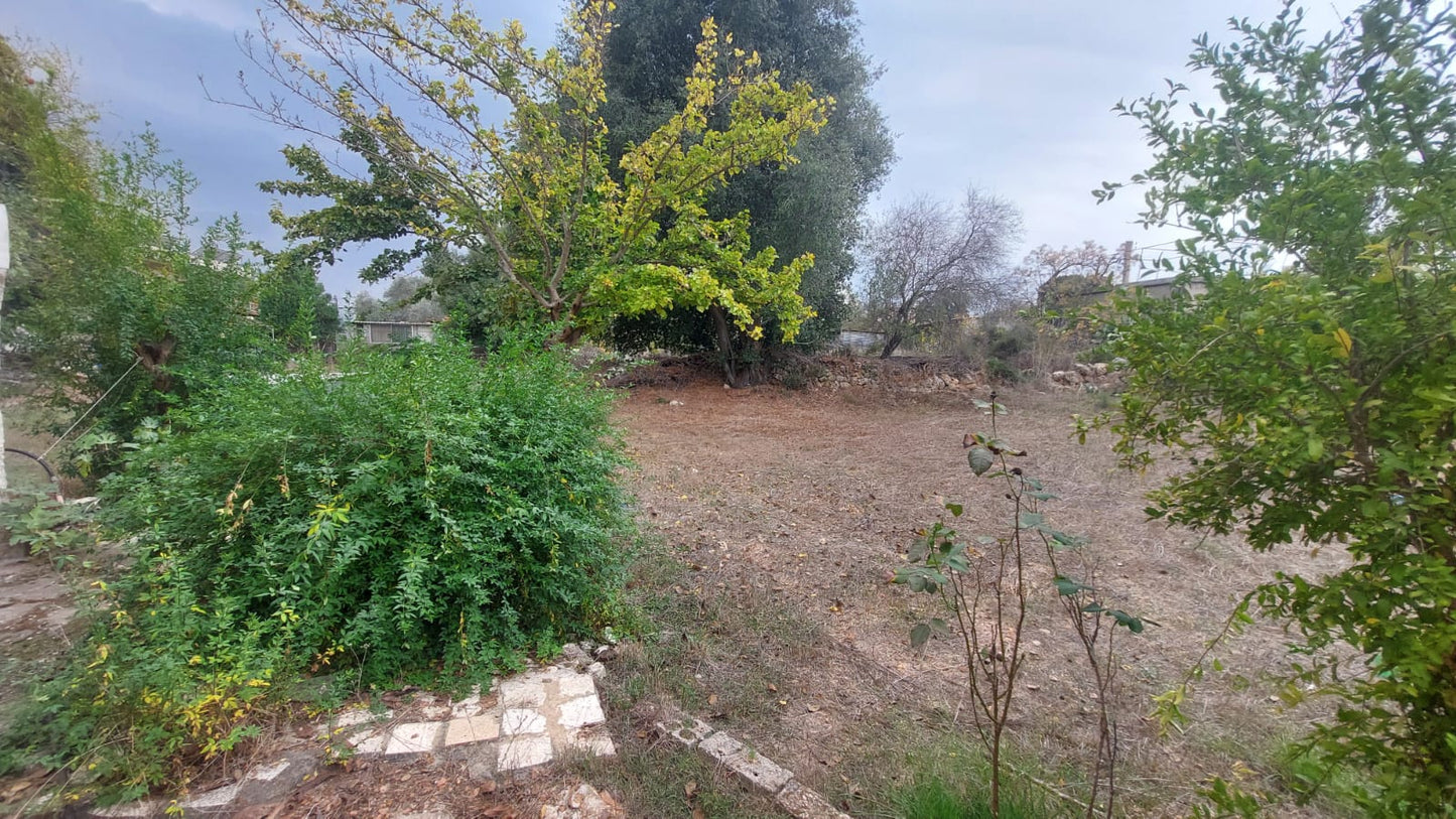 Old house with land for Sale in Bichmizzine - بيت قديم مع أرض للبيع GM103KG