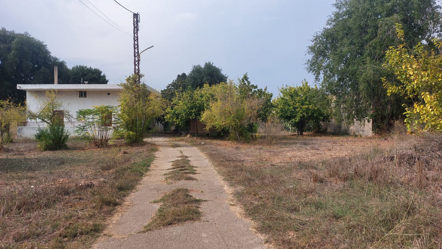 Old house with land for Sale in Bichmizzine - بيت قديم مع أرض للبيع GM103KG