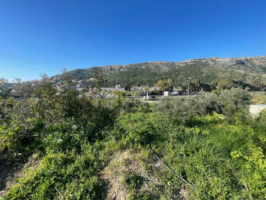 Land for sale in Batroun - ارض للبيع في البترون
