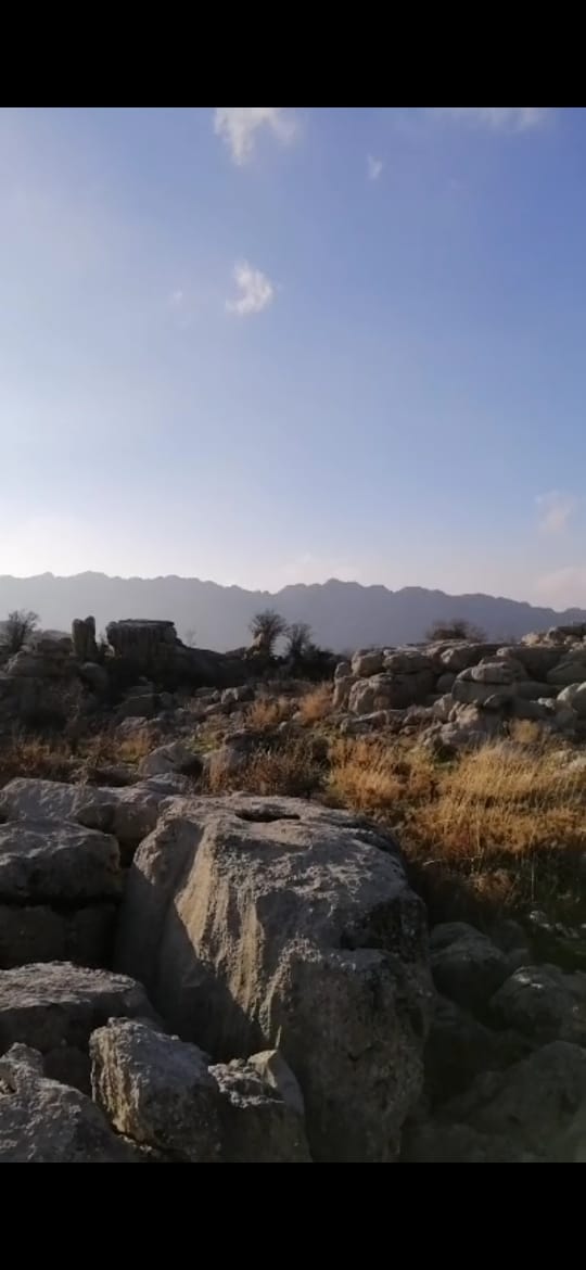 Land for sale in Laklouk - أرض للبيع في اللقلوق