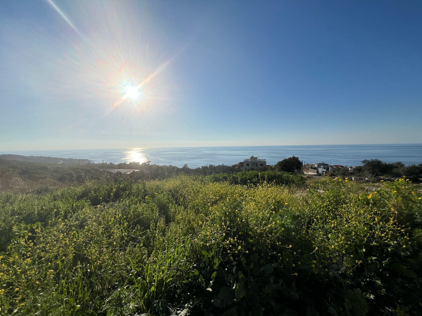 Land for sale in Batroun - أرض للبيع في باترون