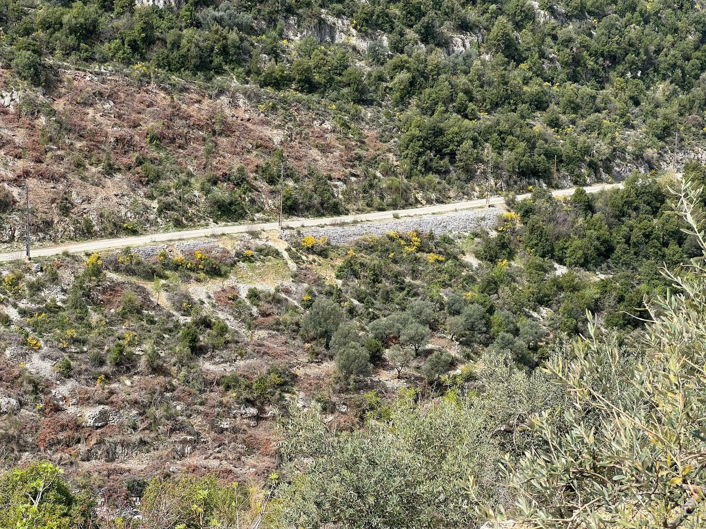 Land for sale in Batroun - أرض للبيع في البترون