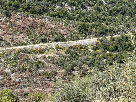 Land for sale in Batroun - أرض للبيع في البترون