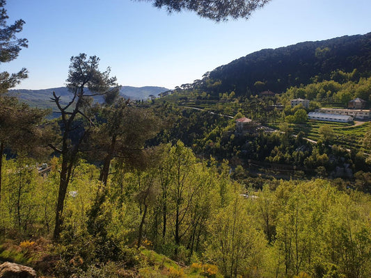 Land for sale in Baskinta - أرض للبيع في بسكنتا