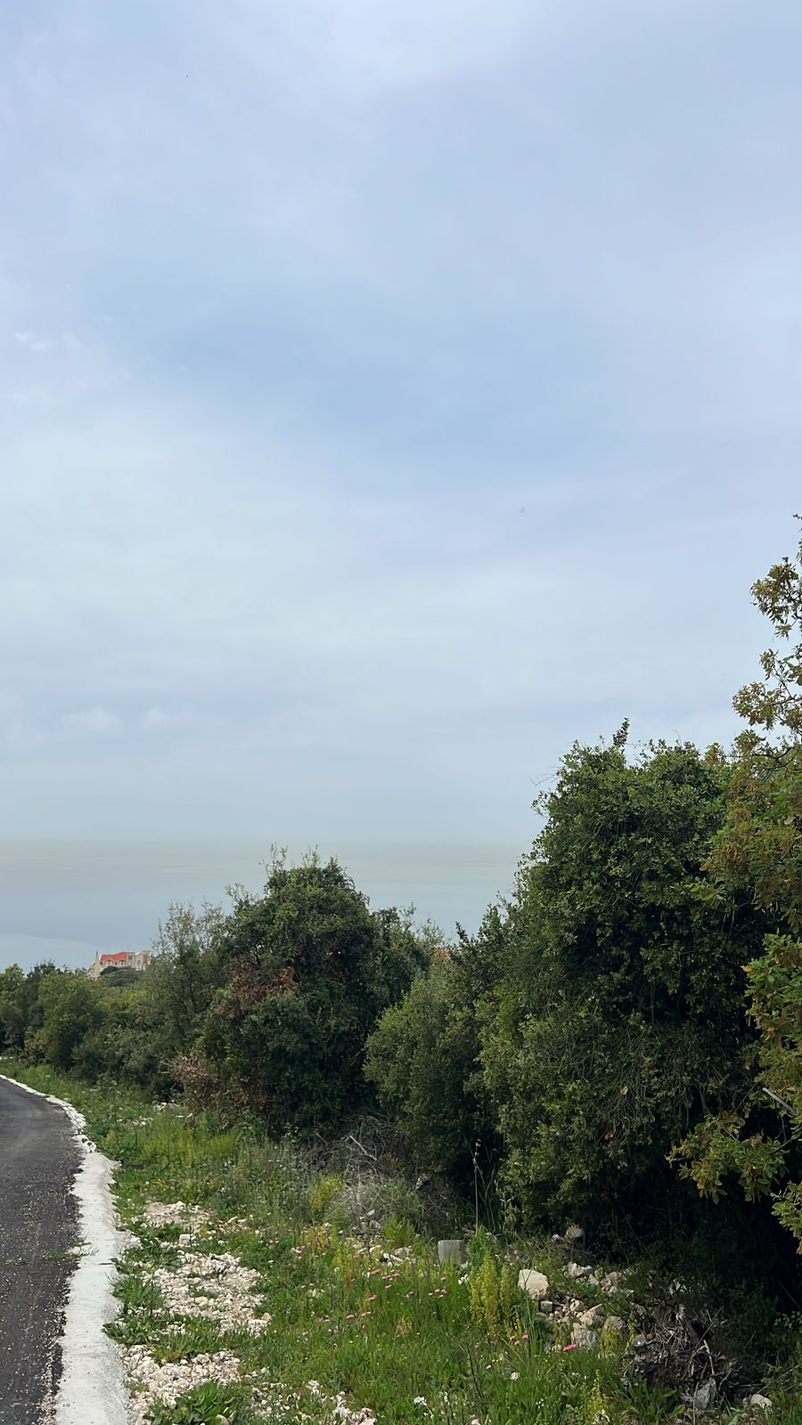 Land for sale in Thoum - أرض للبيع في تحوم