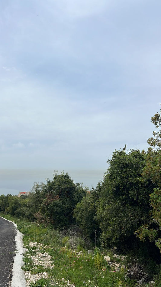 Land for sale in Thoum - أرض للبيع في تحوم