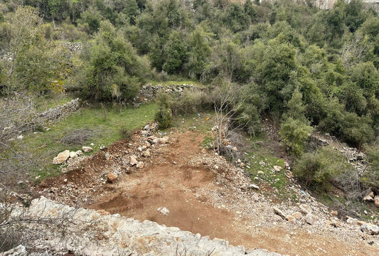 Land for sale in Klayaat - أرض للبيع في القليعات