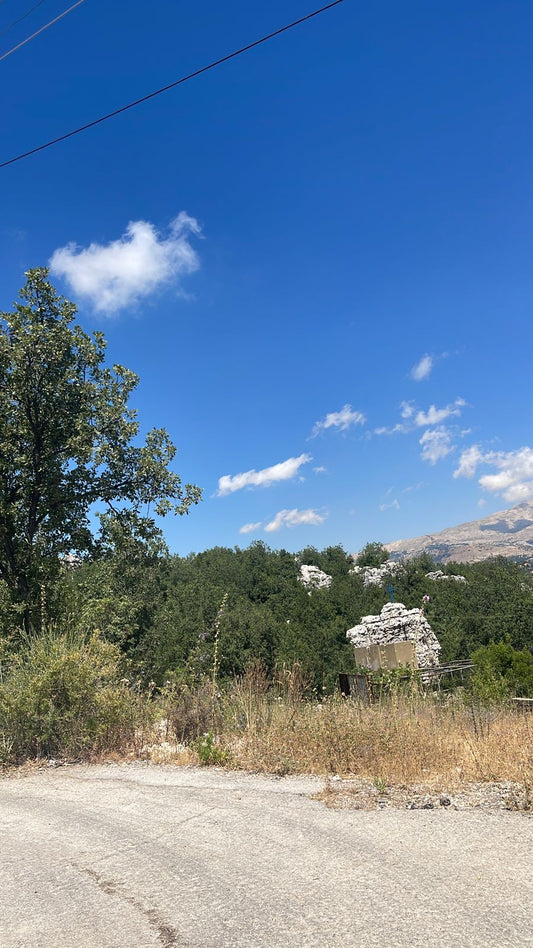 Land for sale in Faytroun - أرض للبيع في فيطرون