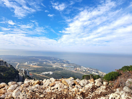 Land for sale in Deddeh - أرض للبيع في دده