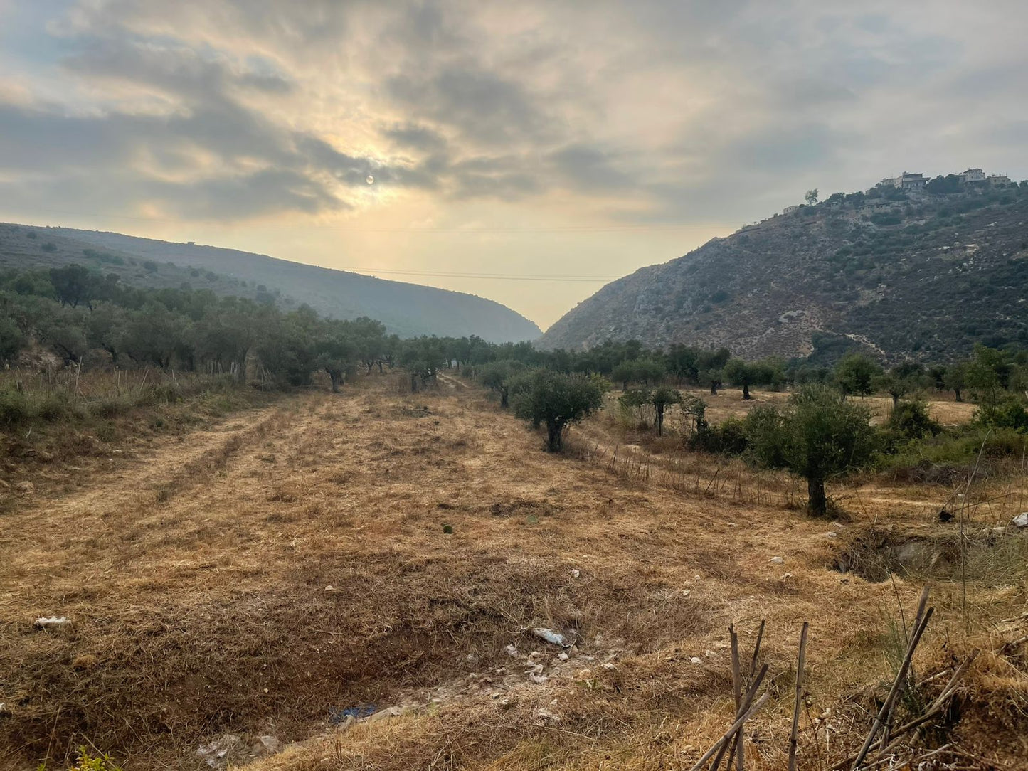 Land for sale in Mejdel - أرض للبيع في مجدل