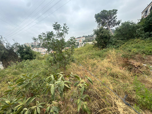 Land for sale in Beit El Chaar - أرض للبيع في بيت الشعار