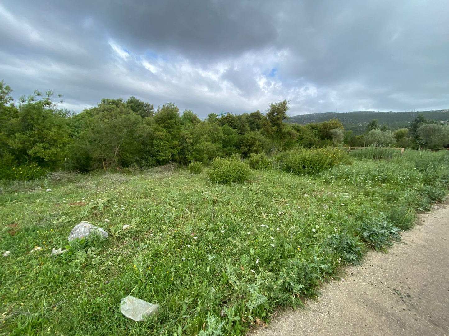 Land for sale in Koura - أرض للبيع في الكورة