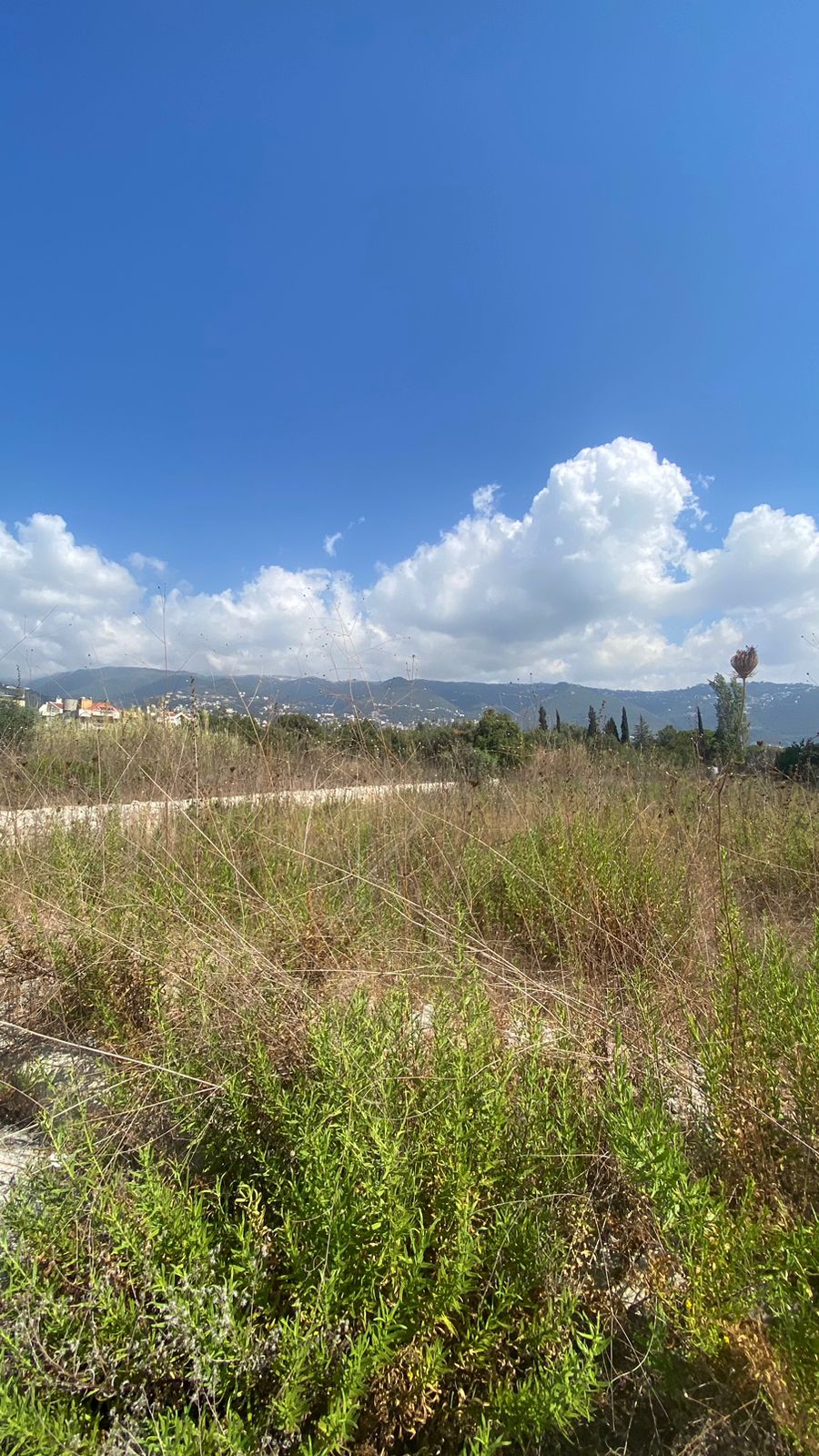 Land for sale in Adma - أرض للبيع في أدما
