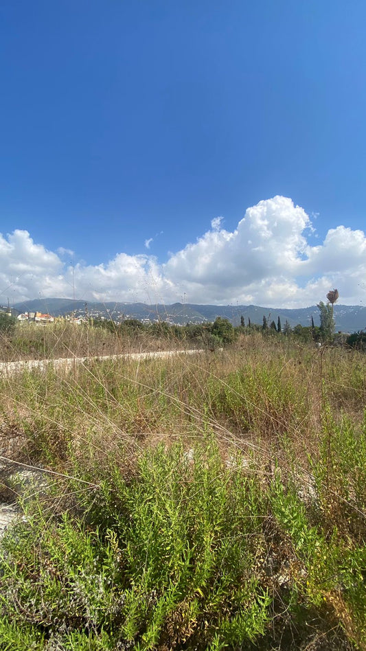 Land for sale in Adma - أرض للبيع في أدما