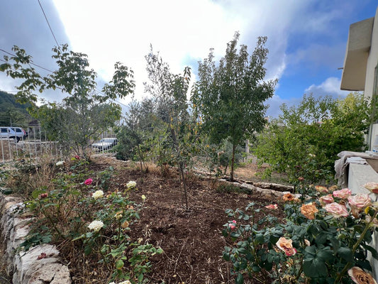 Stand Alone for sale in Annaya - فيلا مستقلة للبيع في عنايا