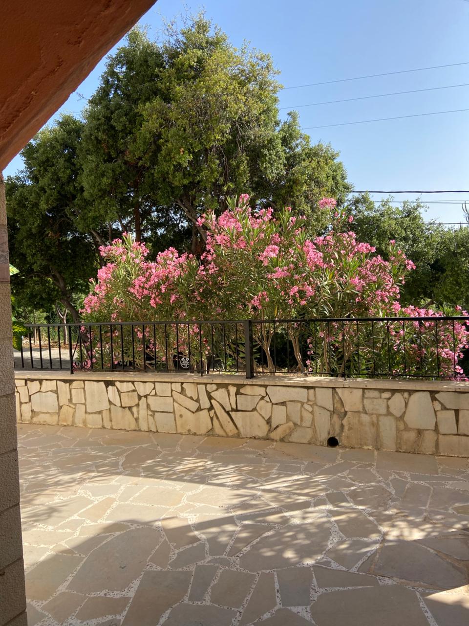 Apartment for rent in Batroun - شقة للإيجار في البترون