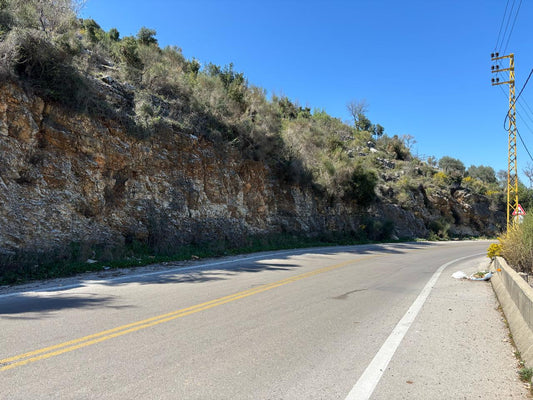 Land for sale in Al Kharbeh - أرض للبيع في الخاربة