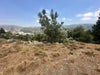 Land for sale in Ballouneh - أرض للبيع في بلونة GM164Y