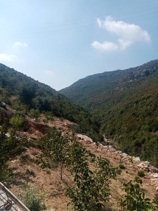Land for sale in Haqel-Jbeil - أرض للبيع في حاقل - جبيل