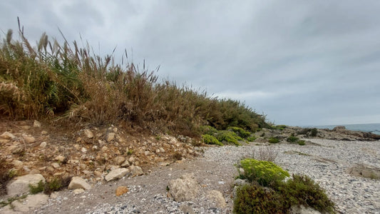 Land for sale in Nahr Ibrahim - أرض للبيع في نهر إبراهيم