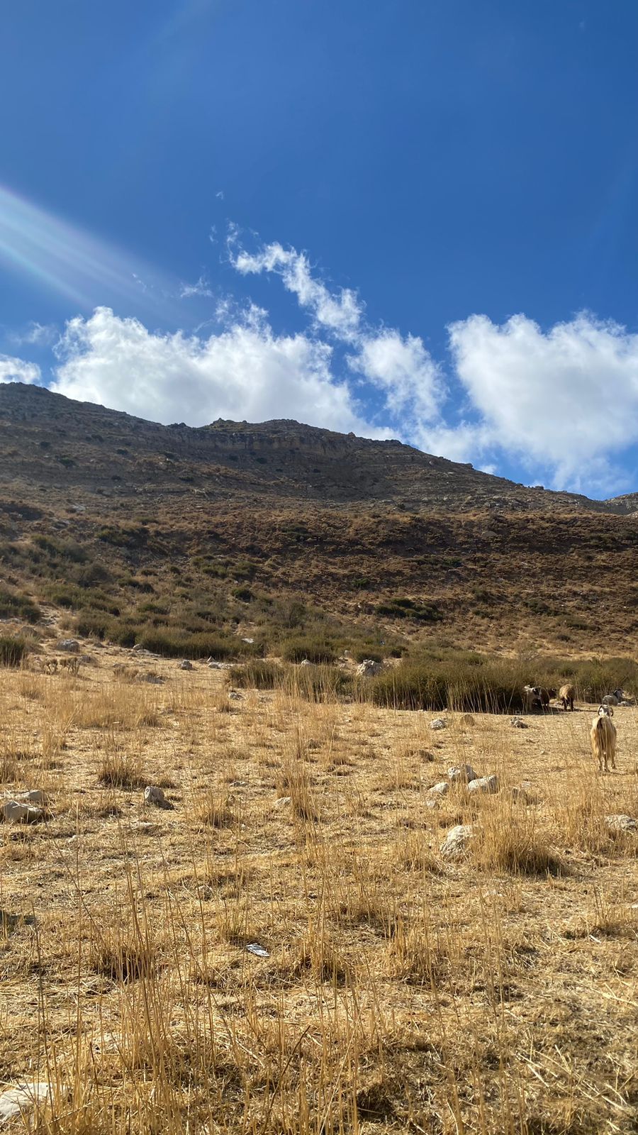 Land for sale in Laklouk - أرض للبيع في اللقلوق GM148SA