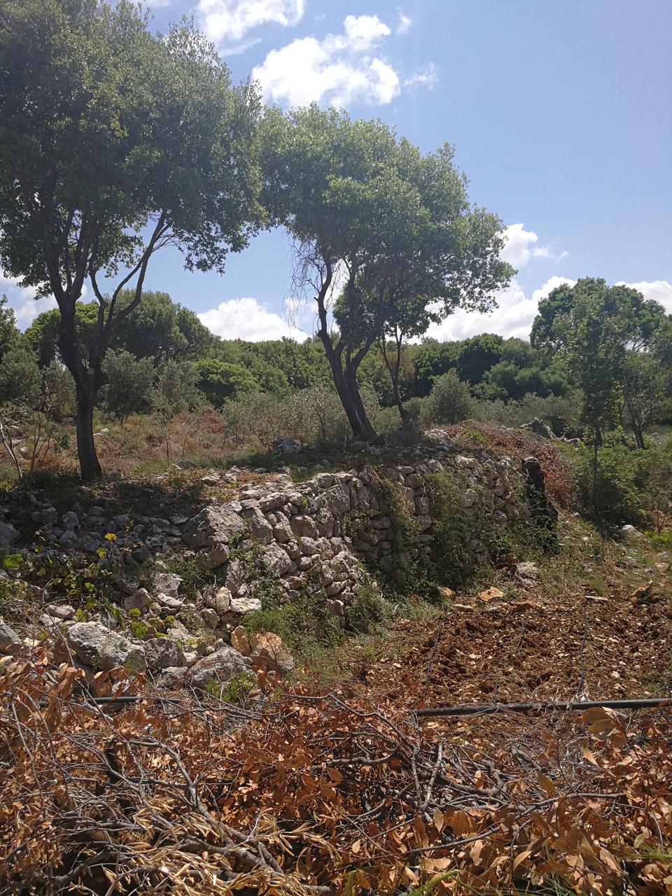 Land for sale in Batroun - أرض للبيع في البترون GM109TA