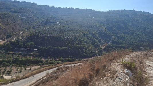 Land for sale in Kfarhazir-Koura - أرض للبيع في كفرحزير - الكورة GM122CM