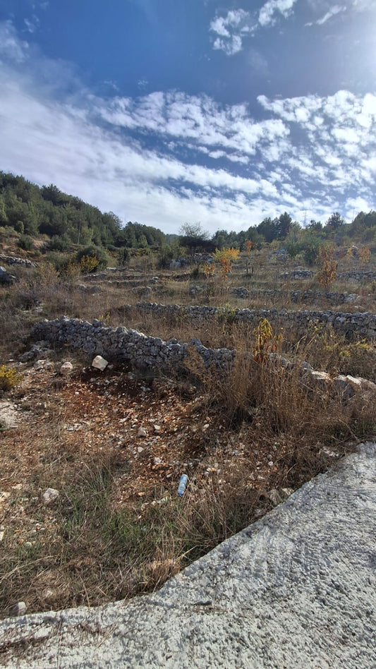 Land for sale in Aabdine-Bcharre - أرض للبيع في عبدين - بشري gm128cm
