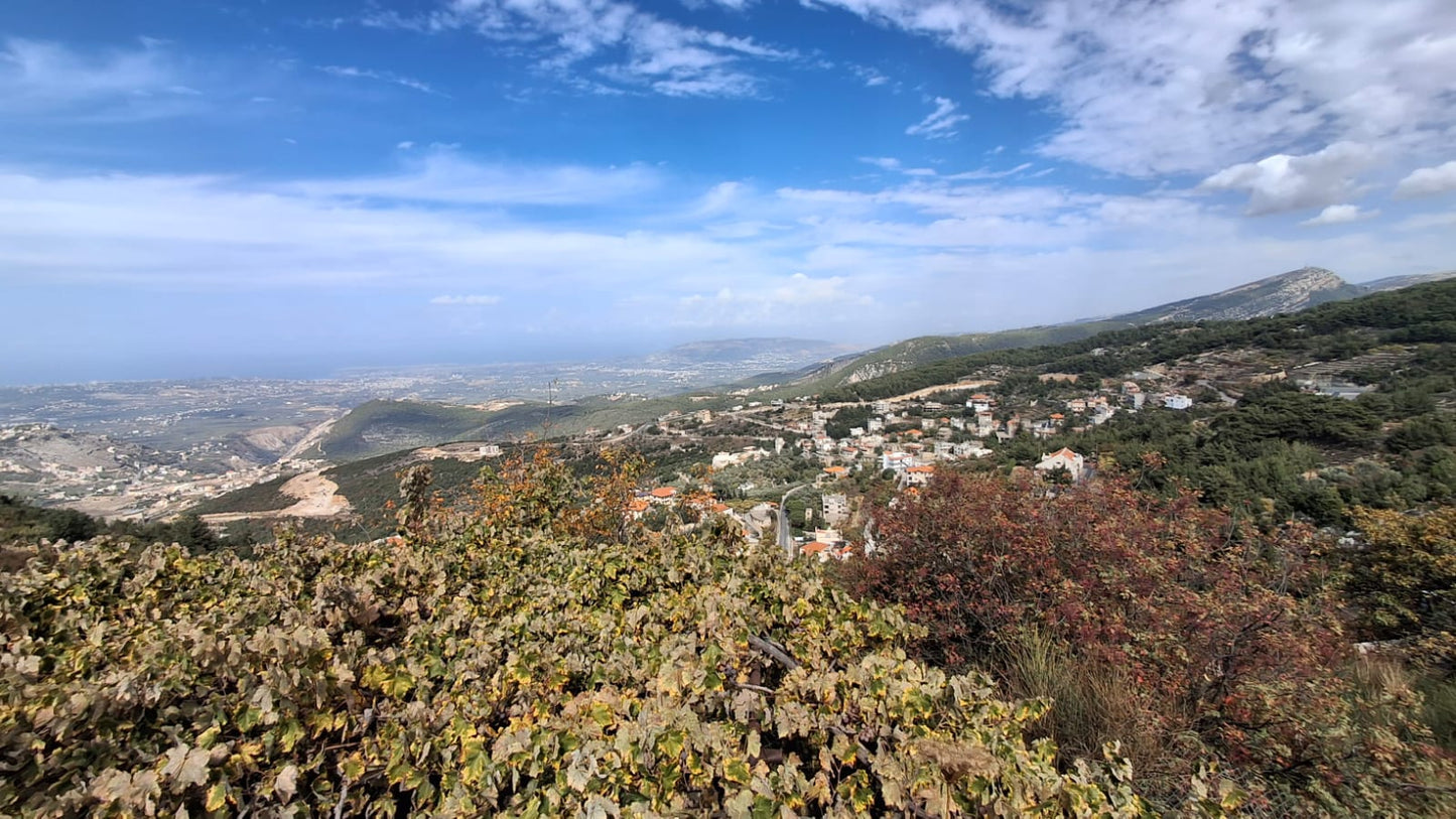 Land for sale in Aabdine-Bcharre - أرض للبيع في عبدين - بشري GM129CM