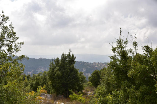 Land For Sale In Achqout - أرض للبيع في عشقوت - GM125SS