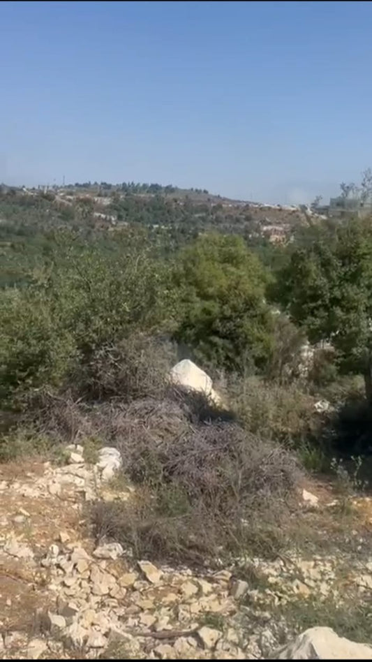 3 Lands For Sale In Mechmech - ثلاث اراضي للبيع في مشمش - GM111SZ