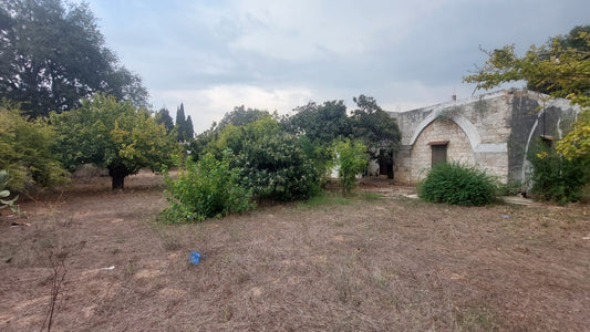 Old house with land for Sale in Bichmizzine - بيت قديم مع أرض للبيع GM103KG