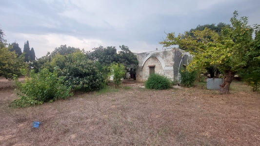 Old house with land for Sale in Bichmizzine - بيت قديم مع أرض للبيع GM103KG