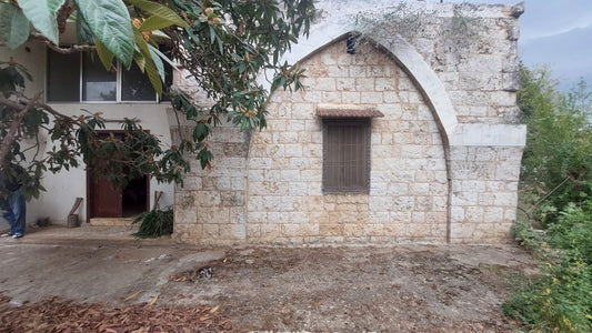 Old house with land for Sale in Bichmizzine - بيت قديم مع أرض للبيع GM103KG